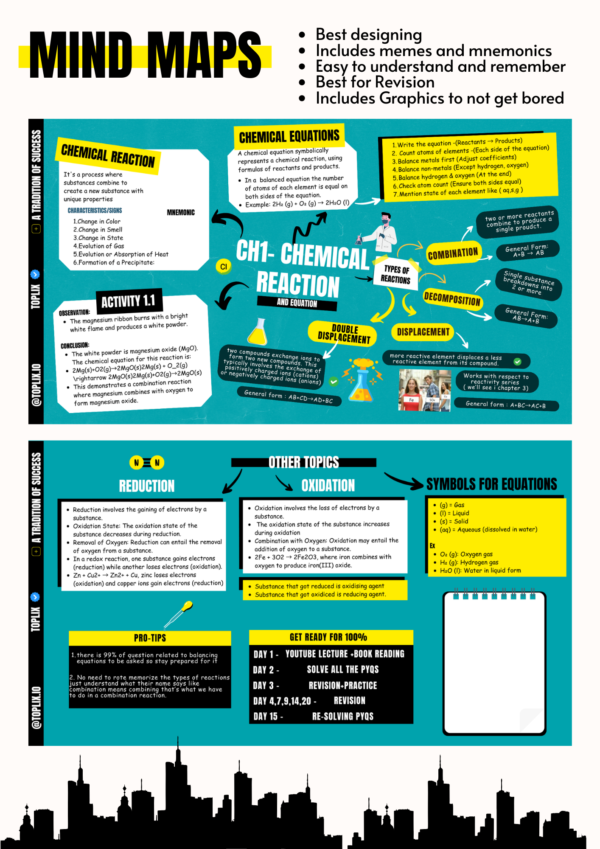 30 DAYS CHALLENGE FOR CLASS 10 BY TOPLIX ALL SUBJECTS BUNDLE - Image 5